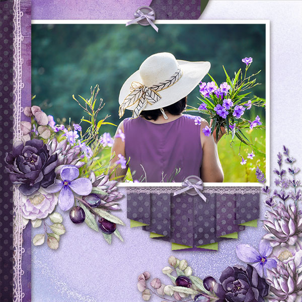 Lavender Fields