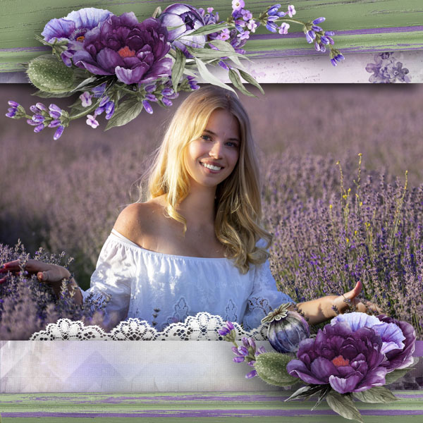 Lavender Fields