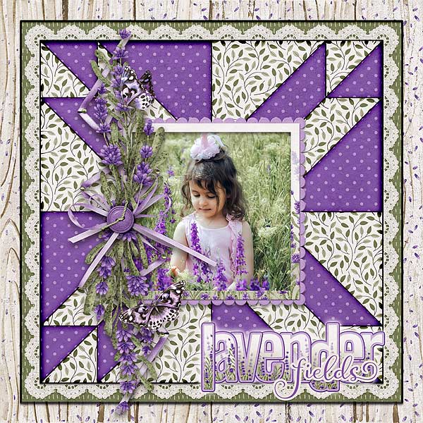 Lavender Fields