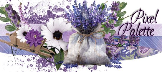 Lavender Fields