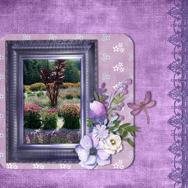 Lavender Garden