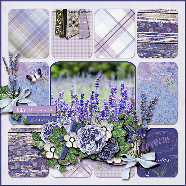 Lavender Love