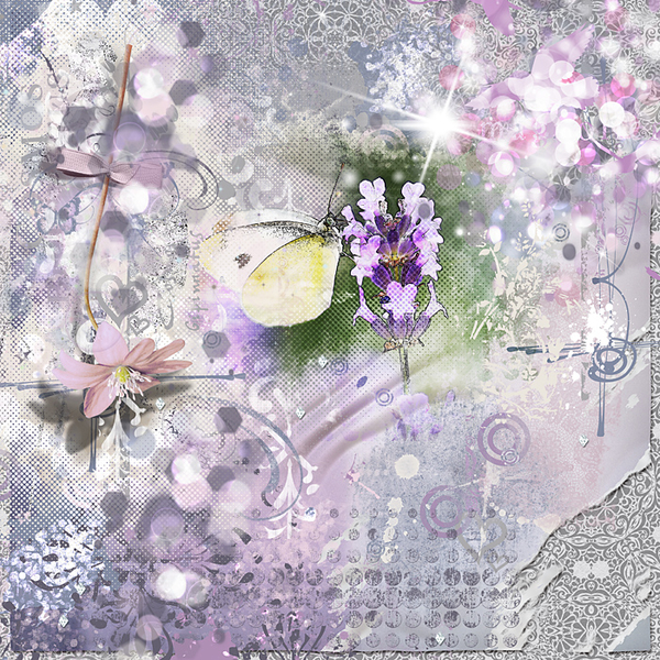 Lavender treasure