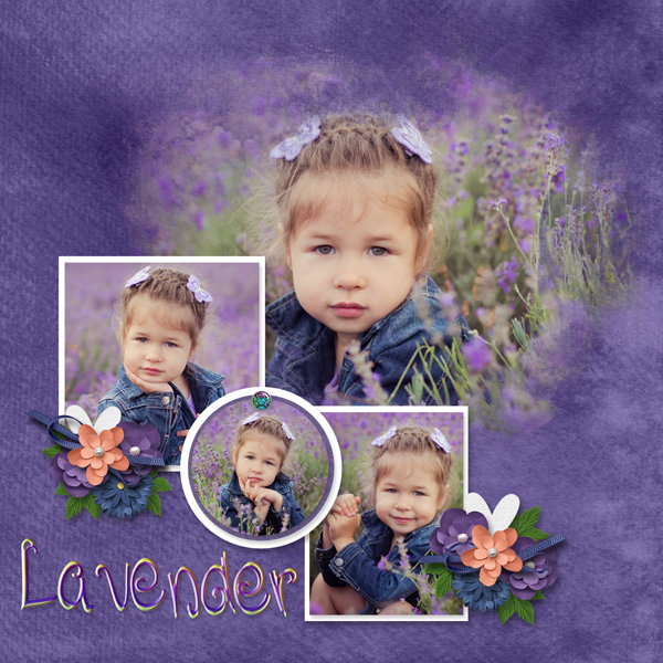 Lavender wishes