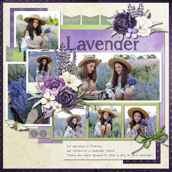 Lavender