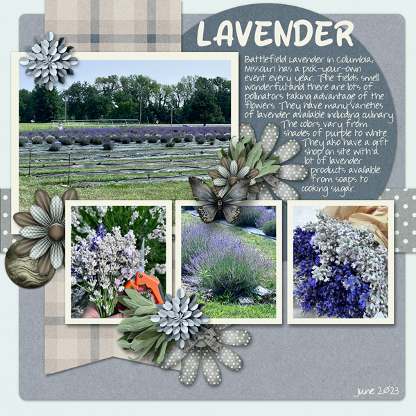 Lavender