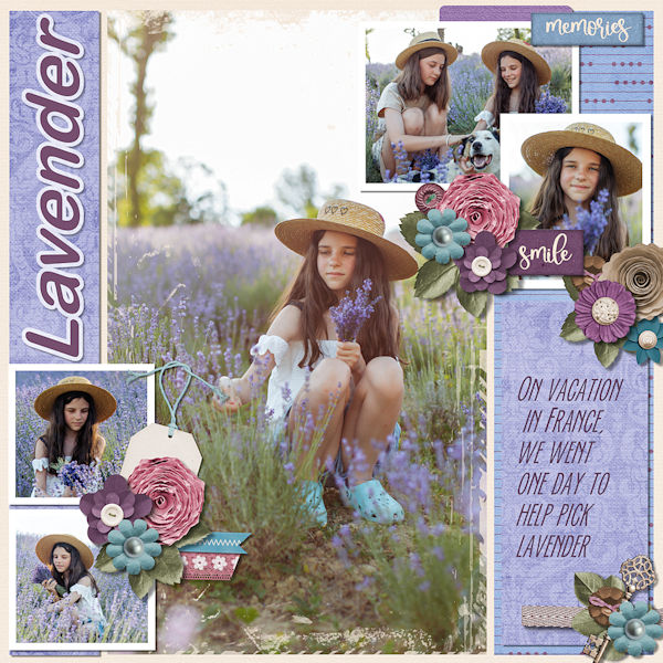 Lavender