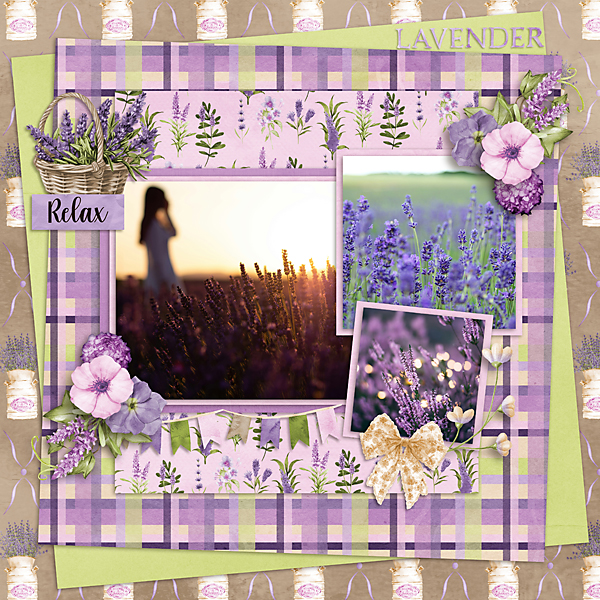 Lavender