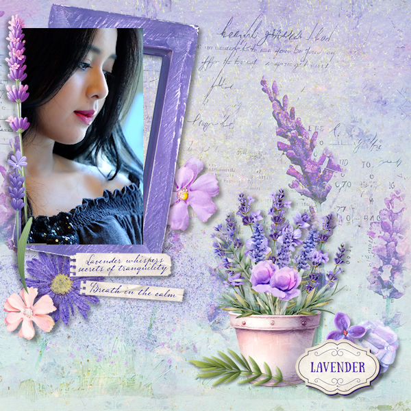 Lavender
