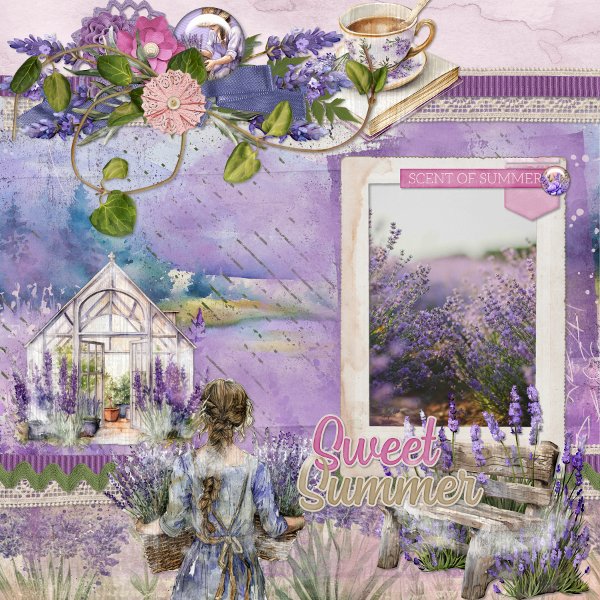 Lavender