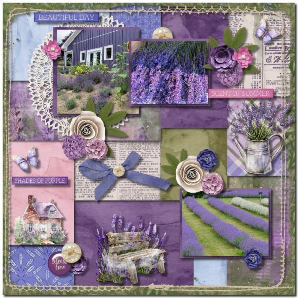 Lavender