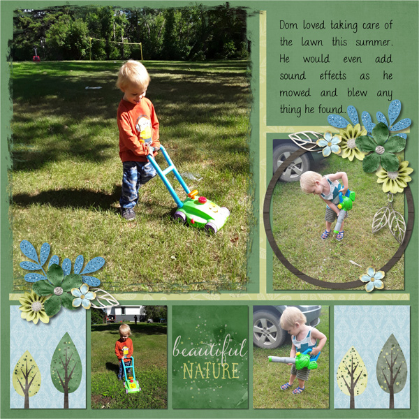 Lawn Care