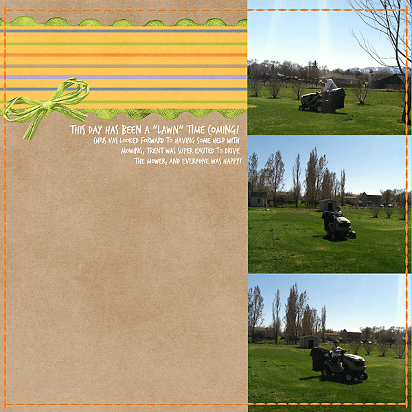 Lawn Mowing
