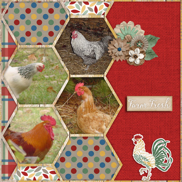 Layout Frames Bundle-MagsGraphics
