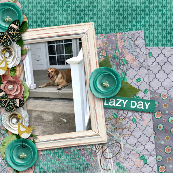 Lazy Day