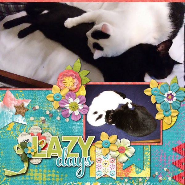 Lazy Days