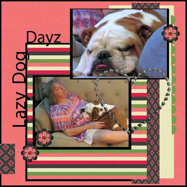 Lazy Dog Dayz