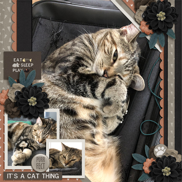 Lazy Maru