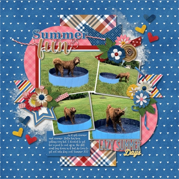 Lazy Summer fun days