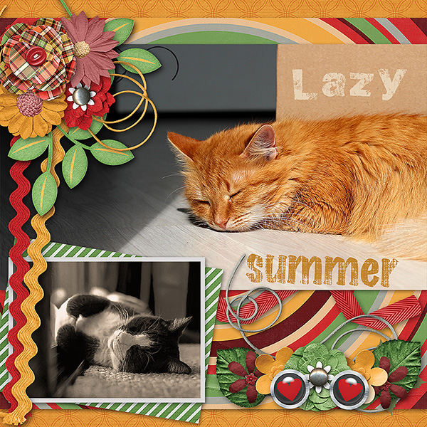 Lazy Summer