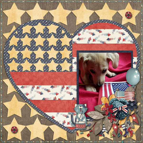 lcc_Americat_tcot_4thofjuly_600