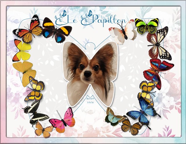 Le-Papillon.jpg