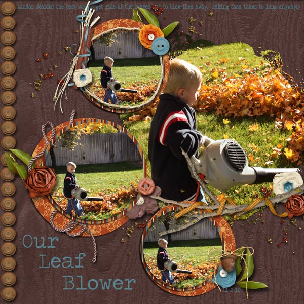 Leaf Blower