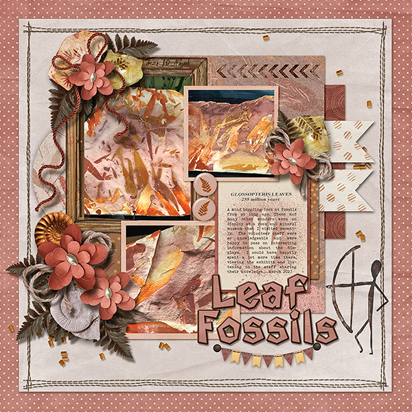 Leaf Fossils