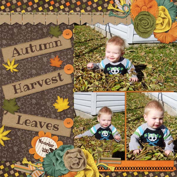 Leaf Fun