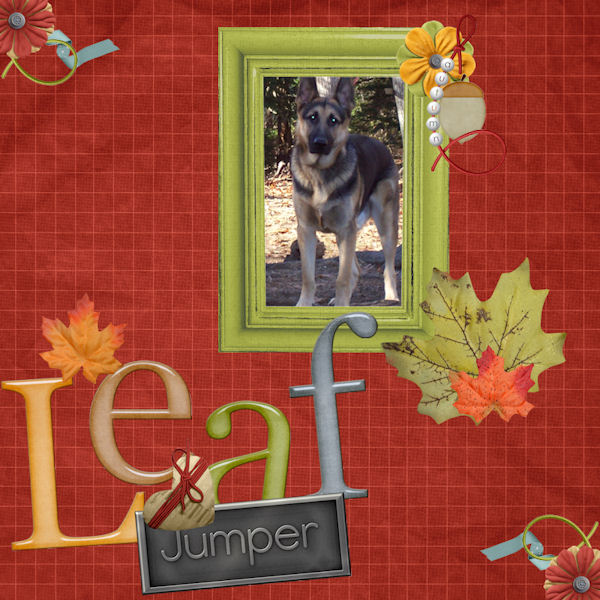 Leaf Jumper