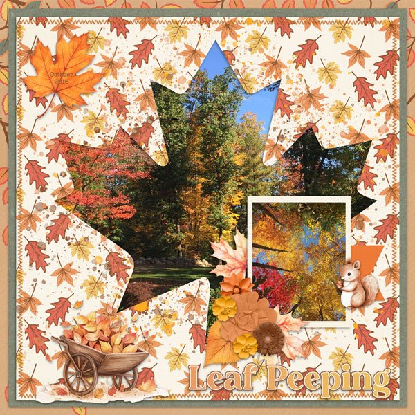 Leaf Peeping