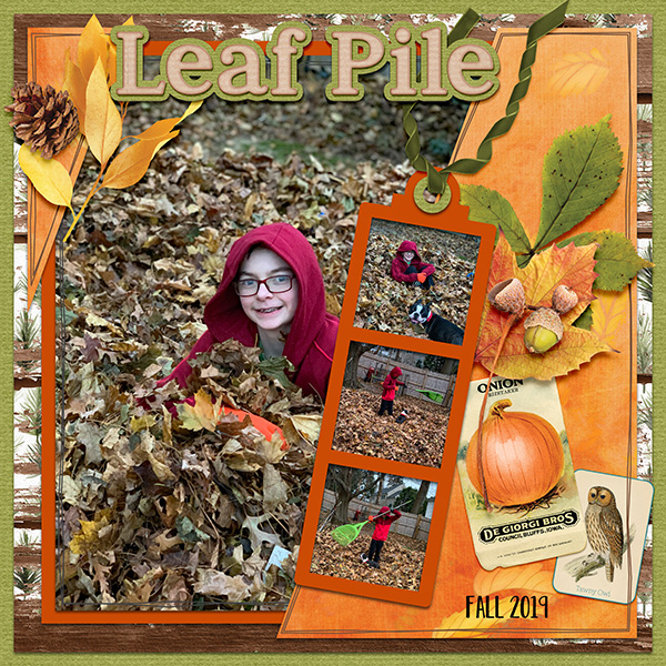 Leaf Pile 2019