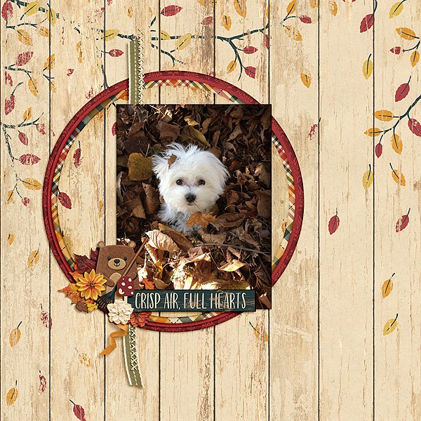 Leaf Pile
