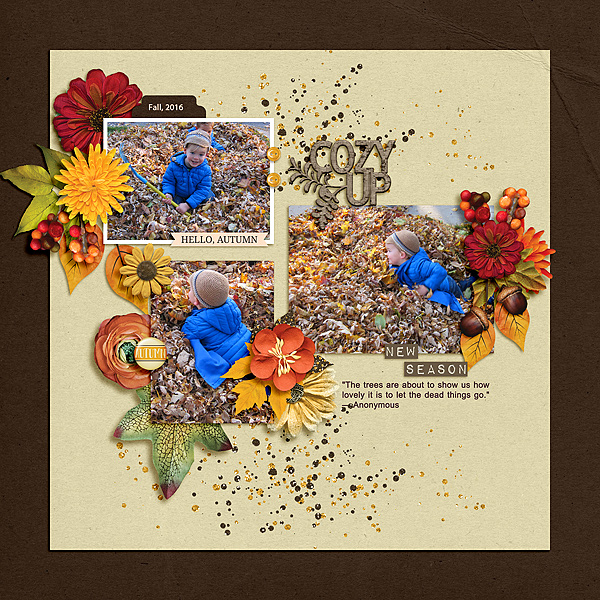 Leaf Play