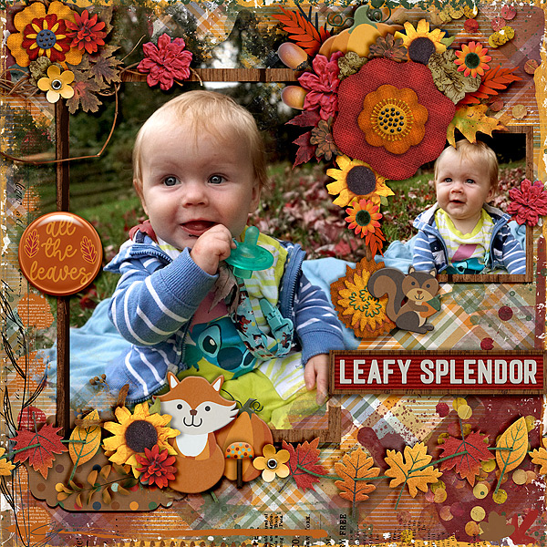 leafy-splendor