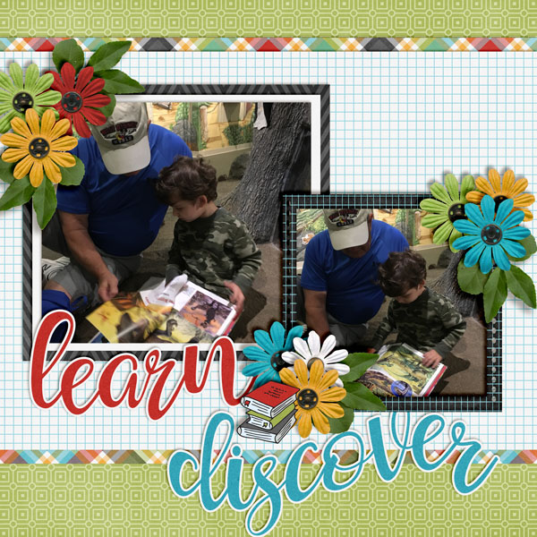 Learn-and-Discover