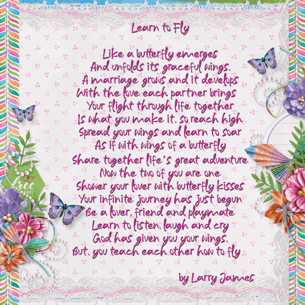 Learn to Fly