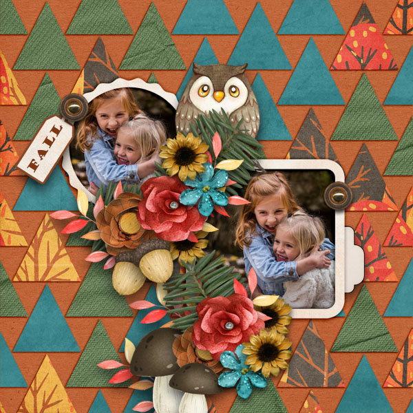 Learning From Fall