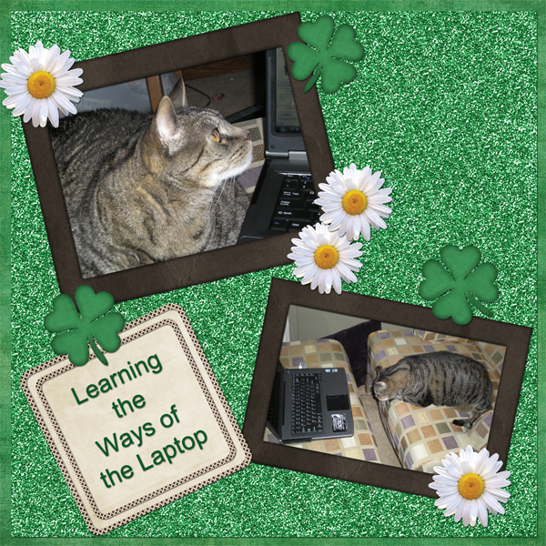 Learning the Laptop