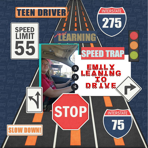 Learning to Drive