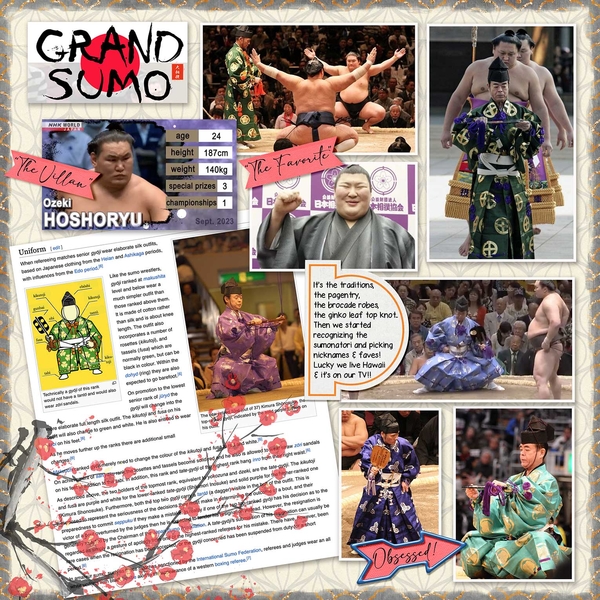 Learning to Love Sumo
