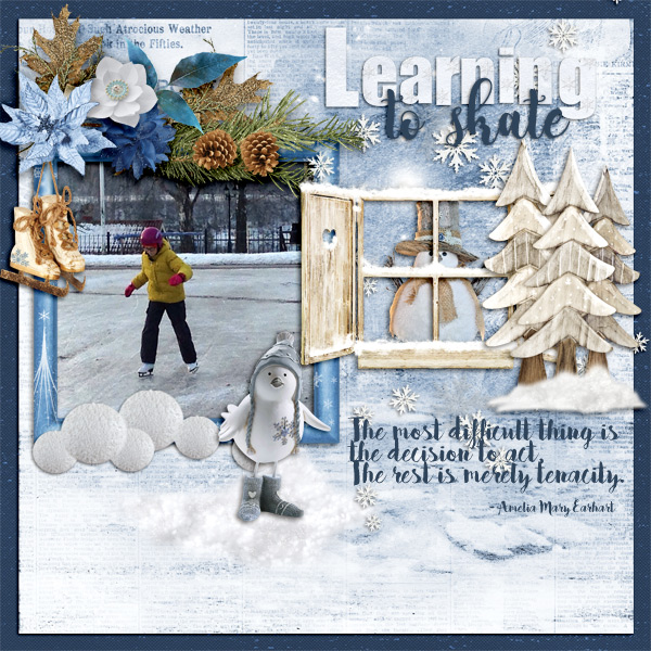 Learning-to-skate