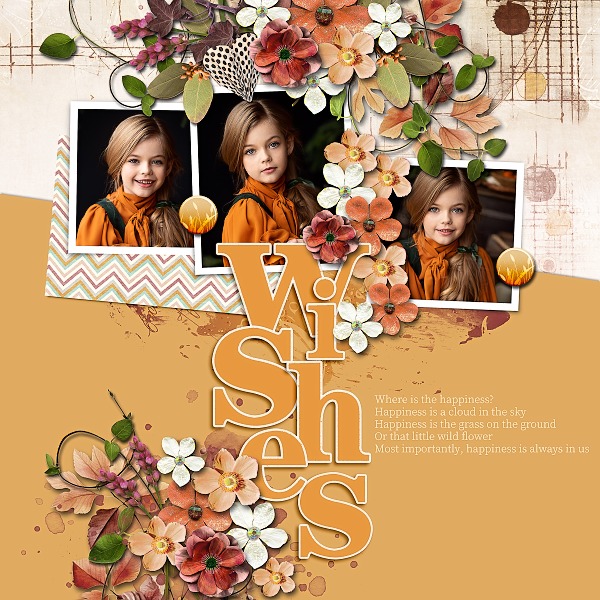 Leave Your Wishes-Bundle