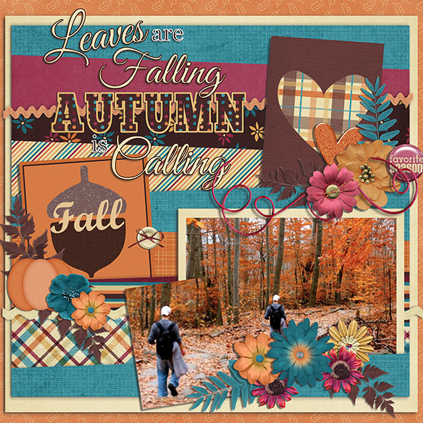 leaves are falling