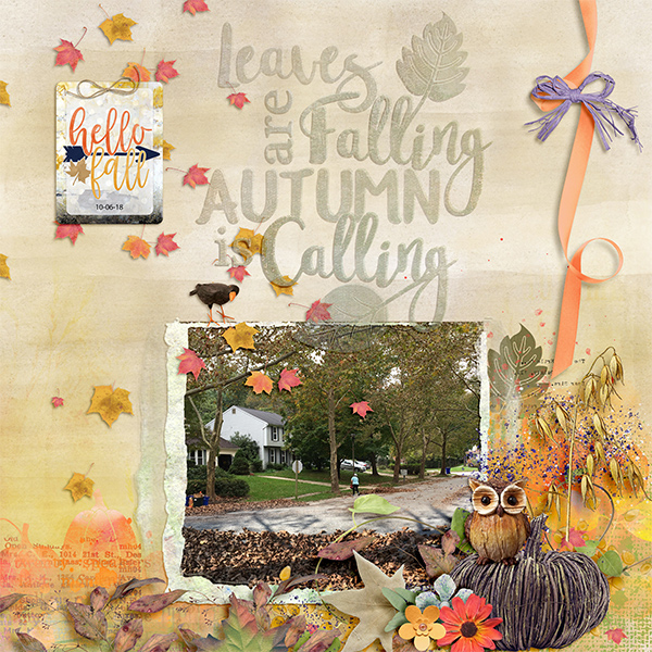 Leaves are Falling