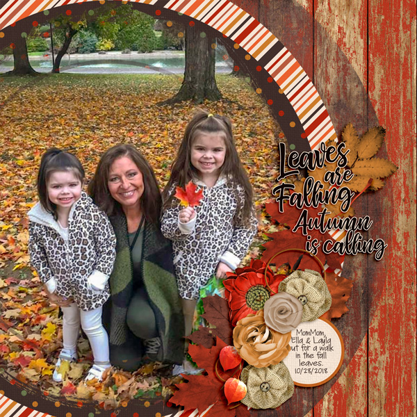 Leaves Are Falling