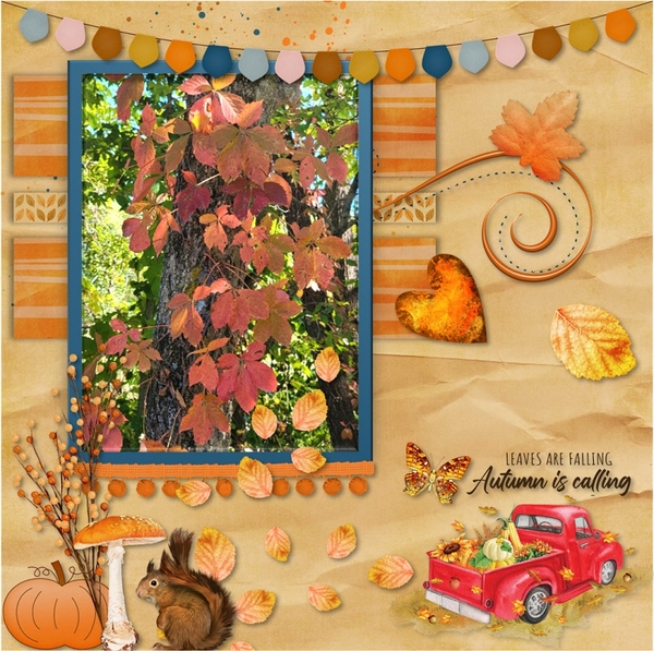 Leaves are Falling