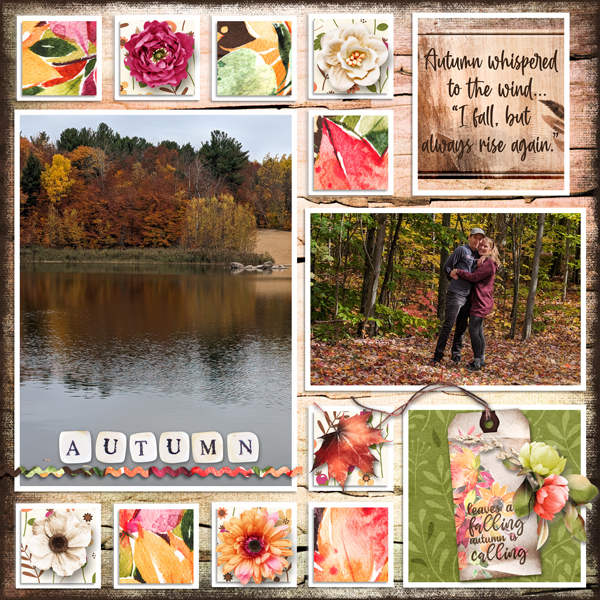Leaves are falling
