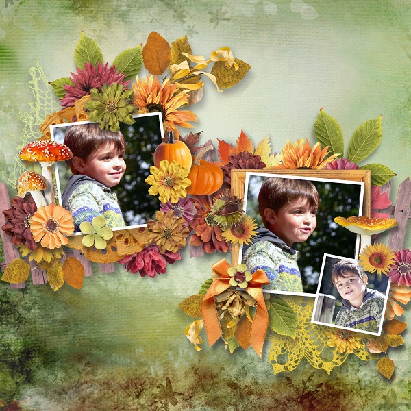 Leaves fall all around