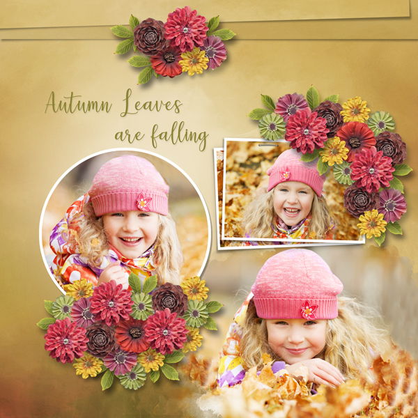Leaves Fall